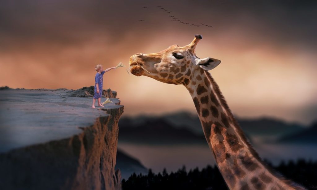 Feeding your inner giraffe